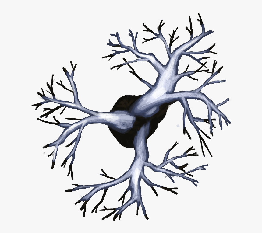 Np03 Treedecid04 25x25[nature, Outside, External, Environment,, HD Png Download