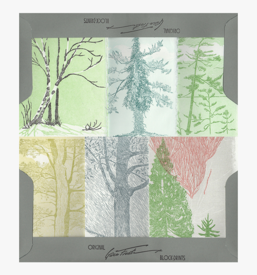 Red Pine, HD Png Download