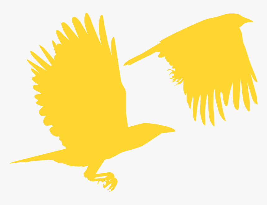 Eagle, HD Png Download