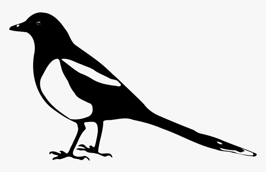 Line Photography - Magpie Silhouette, HD Png Download