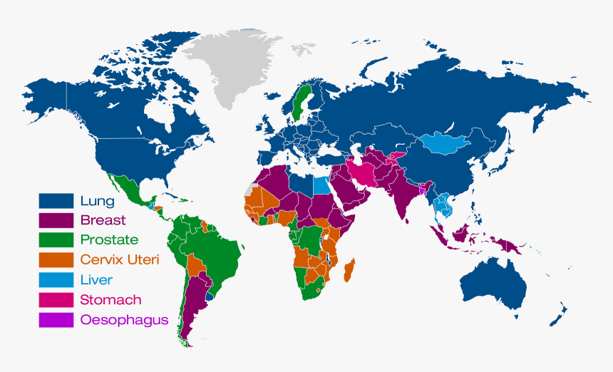 Eat Lancet Commission, HD Png Download