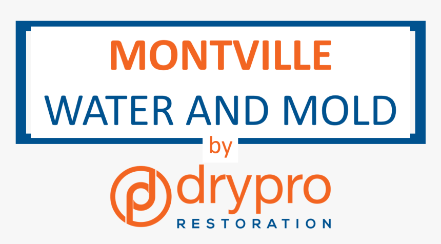 Screenshot, HD Png Download