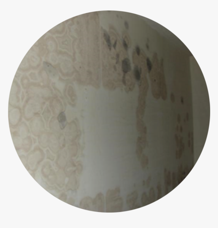 Ptac Wall Mold Picture@2x - Circle, HD Png Download