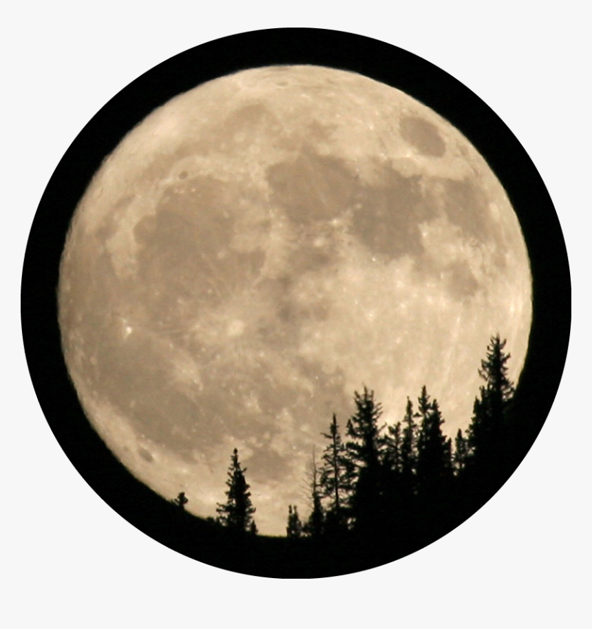 Full Moon Surgeon, HD Png Download