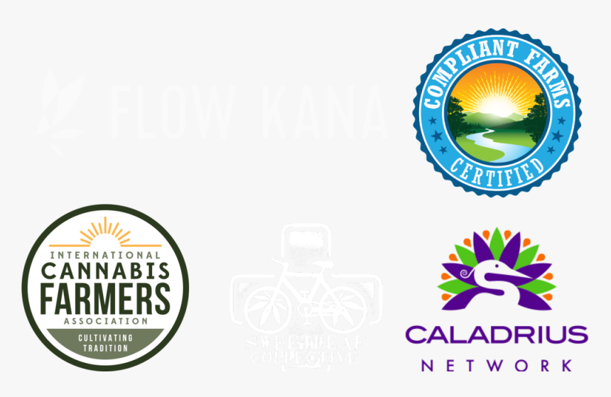 Mmf Affiliates White 072718 - Graphic Design, HD Png Download