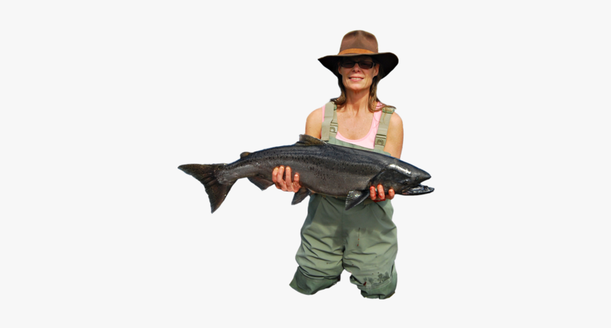 Fisherman Png - Photo - Shark, Transparent Png