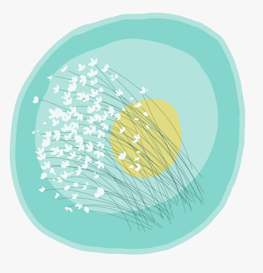 Swaying In Moonlight - Circle, HD Png Download