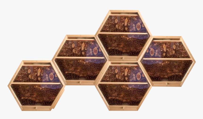 Beecosystem New Hive Shop 5, HD Png Download