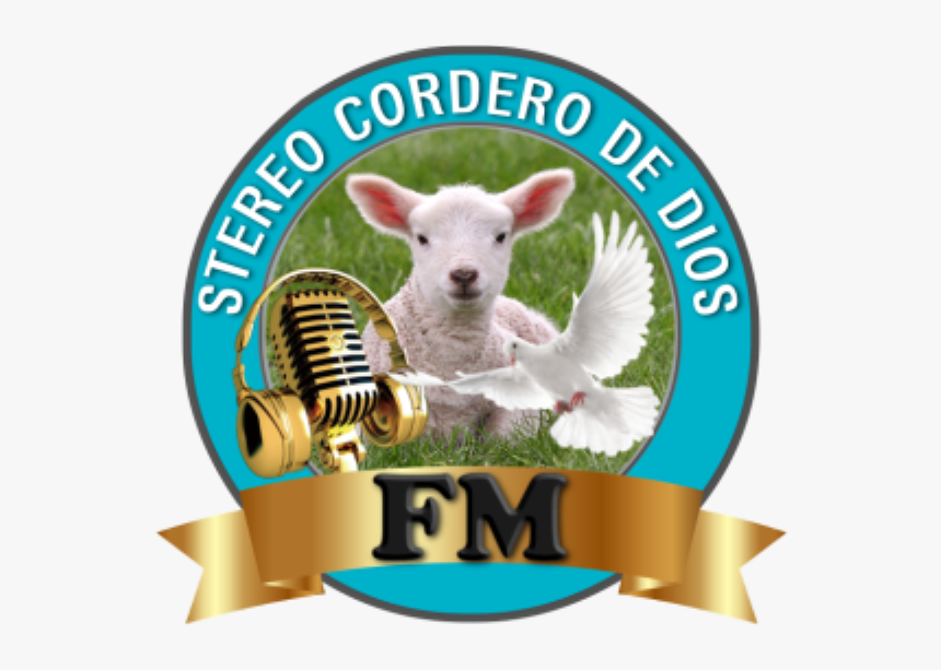 Sheep, HD Png Download