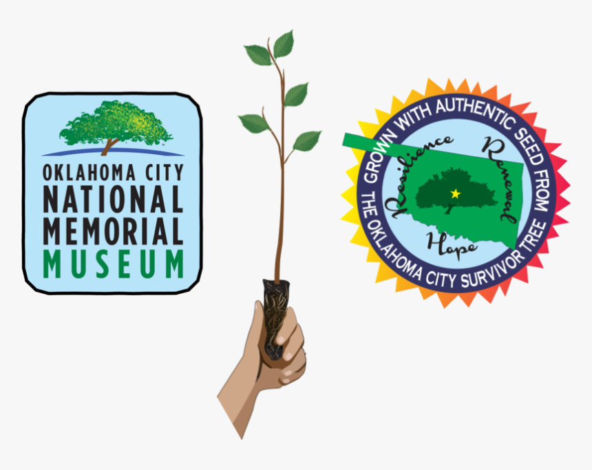 Co Brand Header 01 - Illustration, HD Png Download