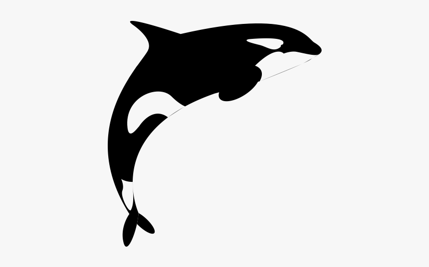 Class Lazyload Lazyload Mirage Cloudzoom Featured Image - Killer Whale Logo Transparent, HD Png Download
