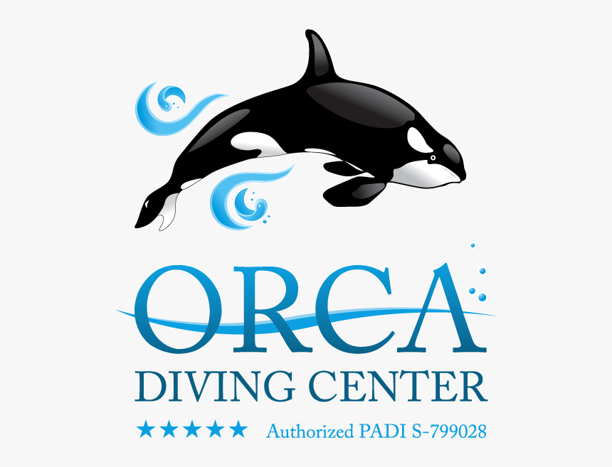 Killer Whale, HD Png Download