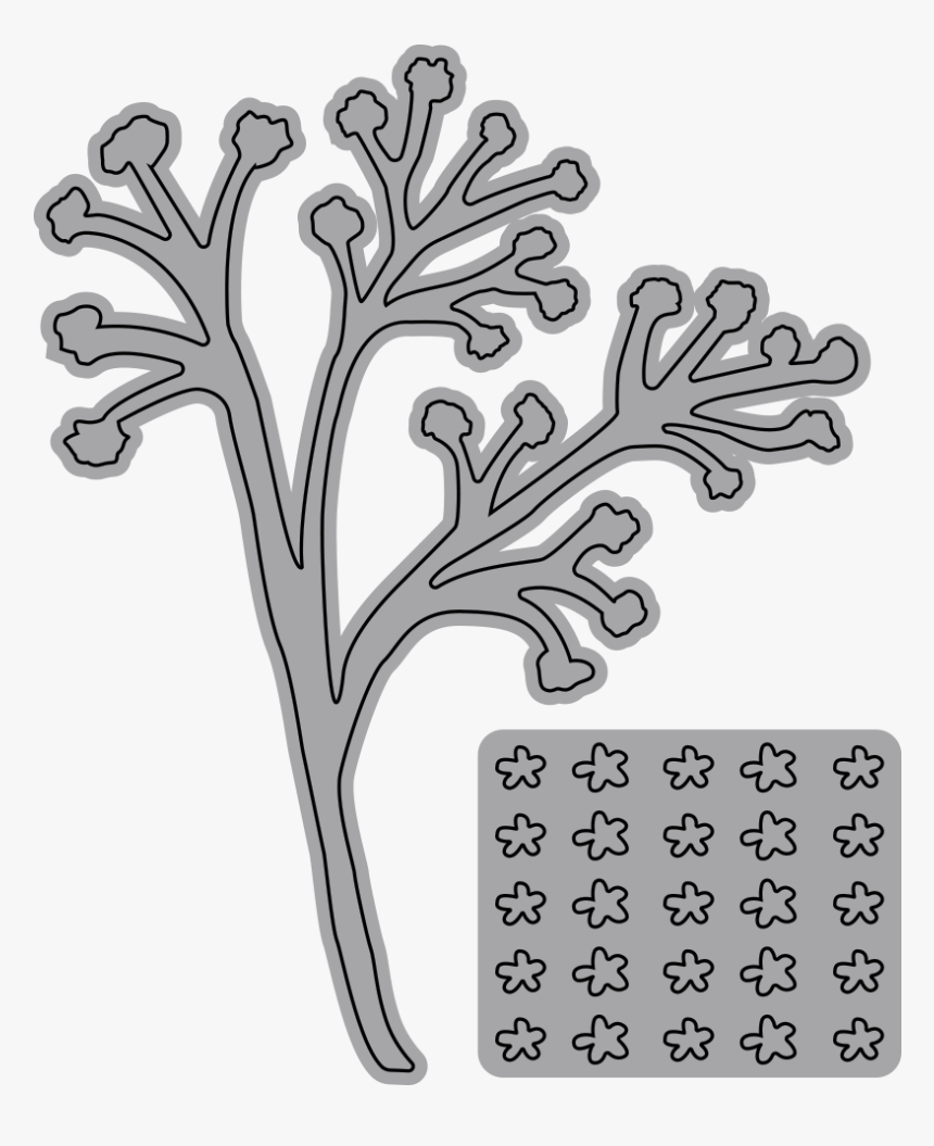 Baby S Breath, HD Png Download