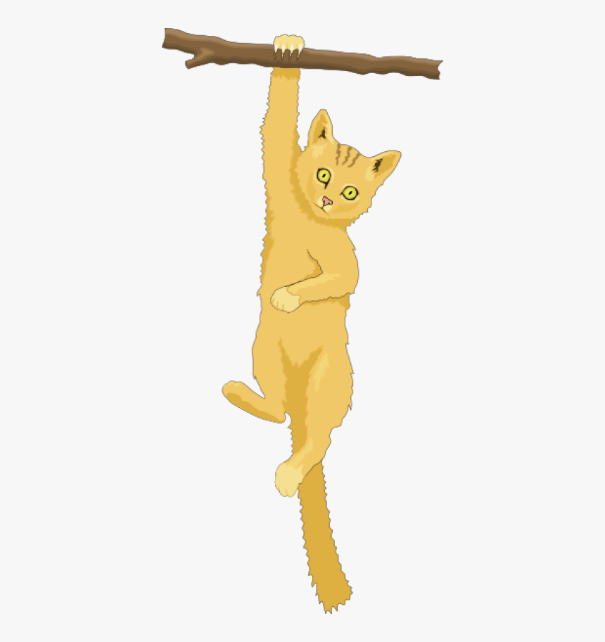 Clipart Cat In A Tree, HD Png Download