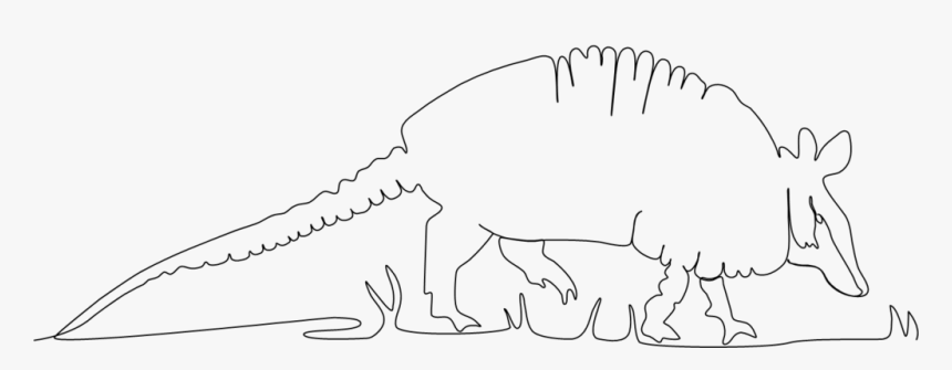 Armadillo In Continuous Line - Line Art, HD Png Download