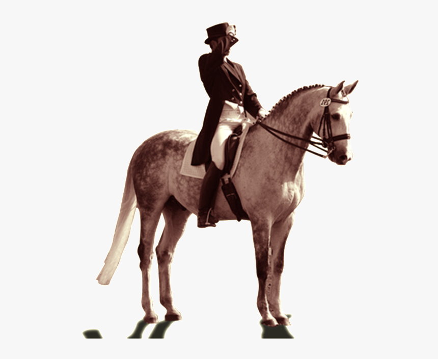Pintado Caballo Png - Knight On A Horse Png, Transparent Png