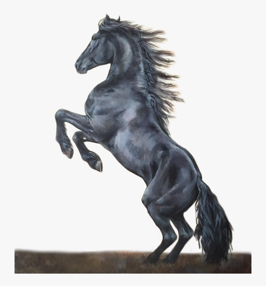 #caballo #negro - Stallion, HD Png Download