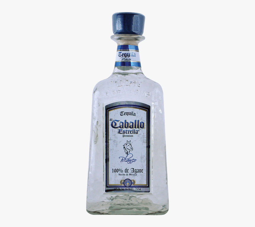 Caballo Estrella Blanco - Mirto, HD Png Download