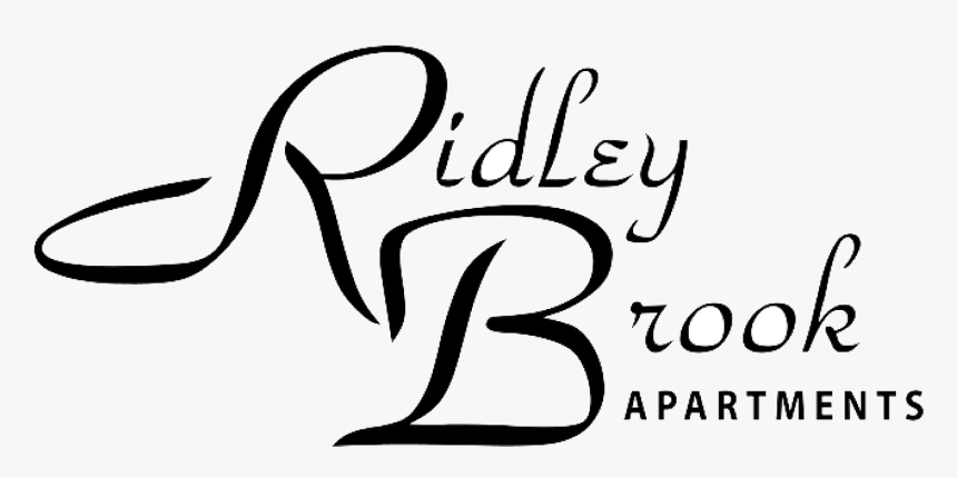 Novosibirsk , Png Download - Calligraphy, Transparent Png