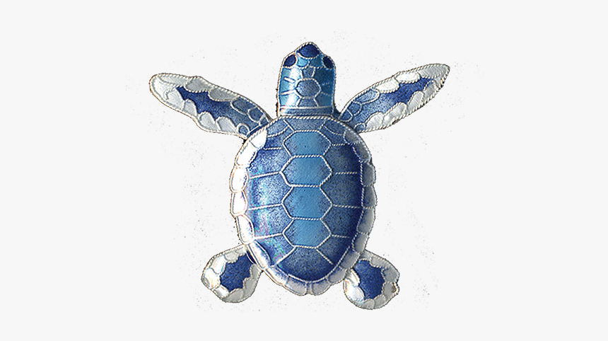 Flatback Hatchling Pin, HD Png Download