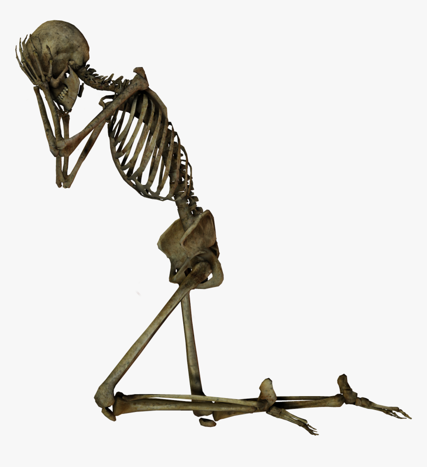 Thumb Image - Capitalism Works Great On Paper, HD Png Download