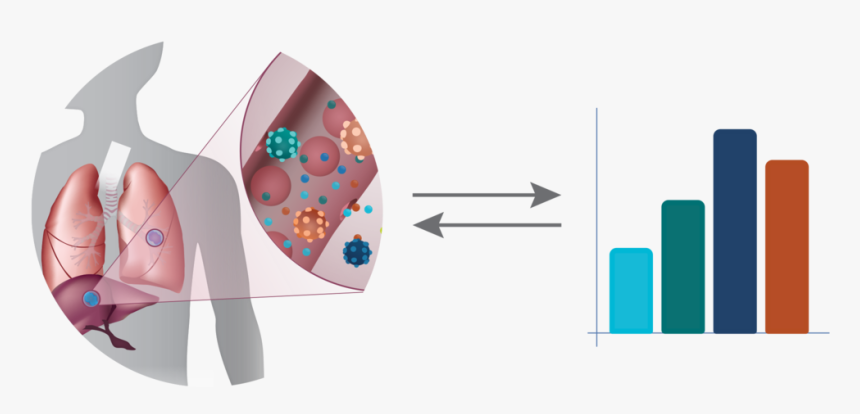 Graphic Design, HD Png Download