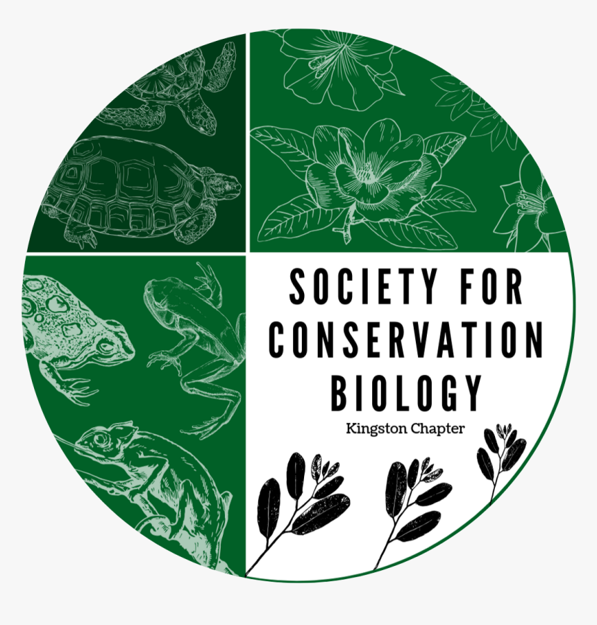 Scb Logo And Stickers - Illustration, HD Png Download