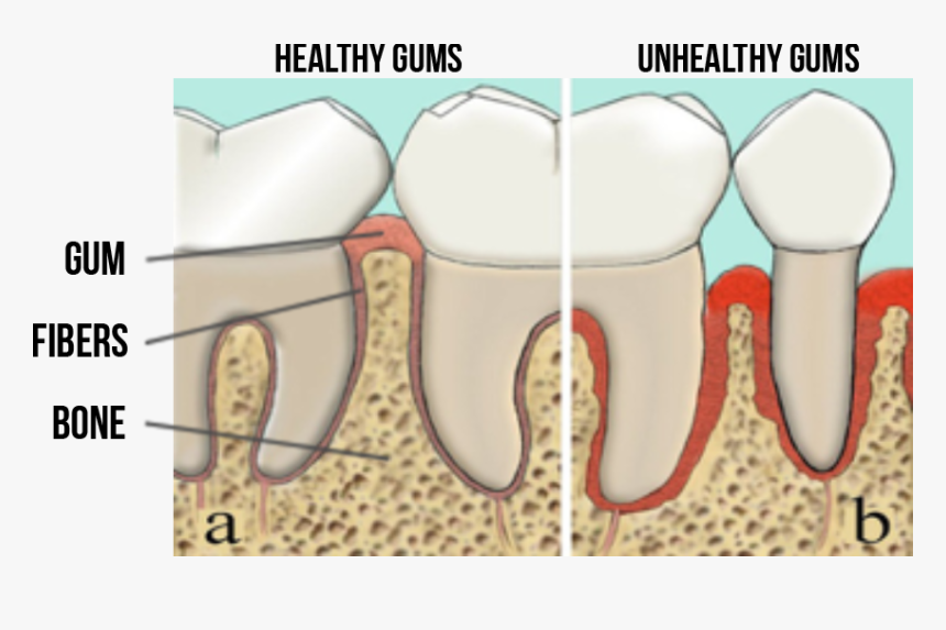 Tongue, HD Png Download