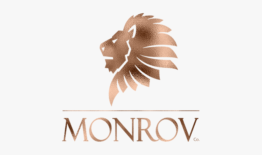 Lion, HD Png Download