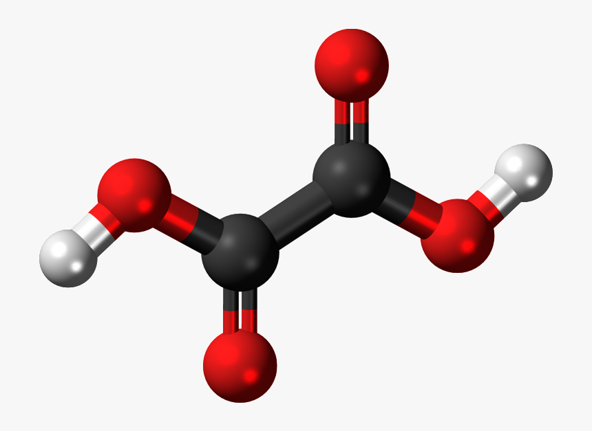 Study Of Oxalate Ions In Guava Fruit, HD Png Download