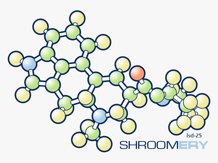 Circle , Png Download - Circle, Transparent Png