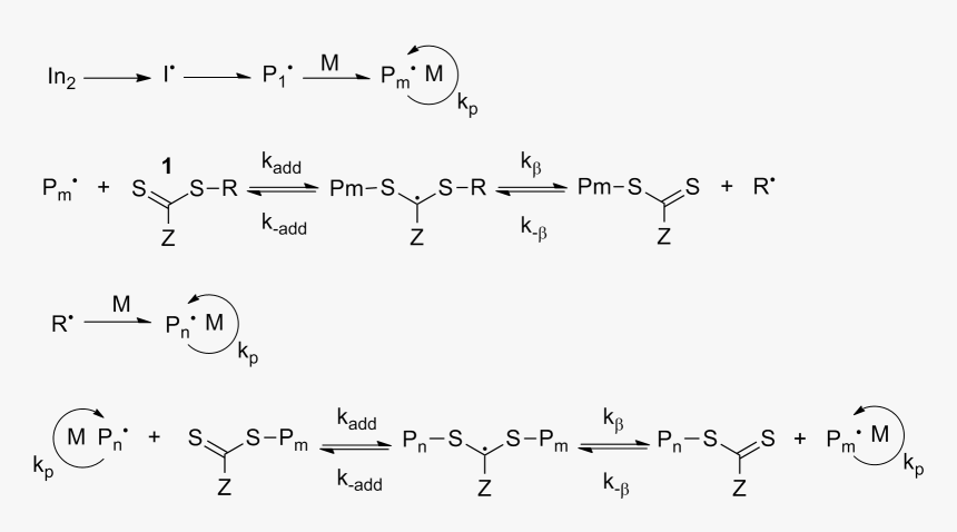 File - Raft - Raft Free Radical Polymerization Mechanism, HD Png Download