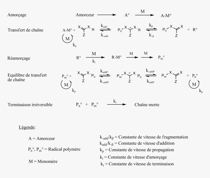 Mécanisme De Polymérisation De Type Raft - Polymérisation Mécanisme, HD Png Download