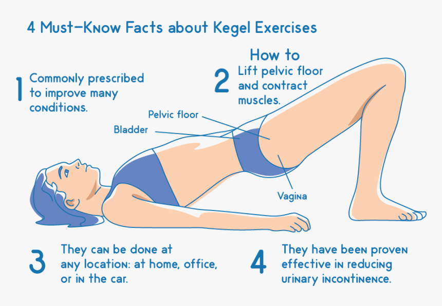 Toss A Bocce Ball, HD Png Download