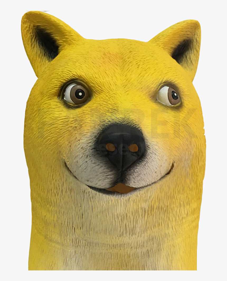 Doge Kabosu Atsuko Sato Canis Lupus Familiaris Cosplay - Canis Lupus Familiaris Doge, HD Png Download