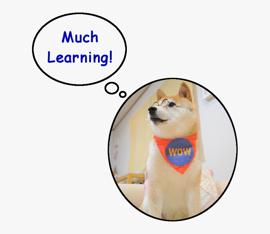 Doge Learning - Shiba Inu, HD Png Download