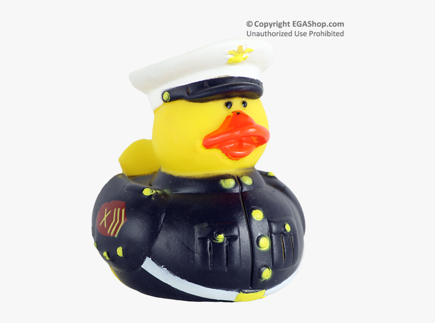 Duck, HD Png Download