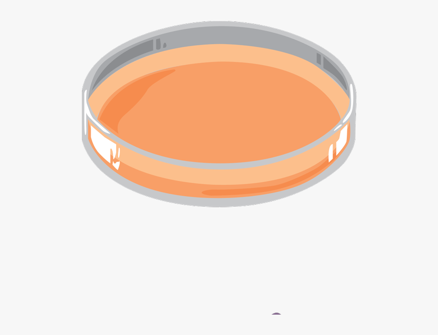 Culture Id, HD Png Download