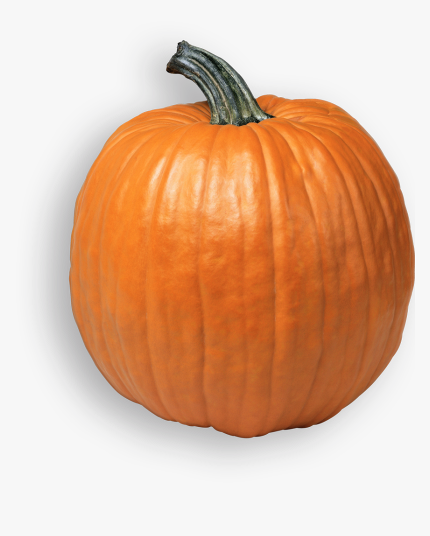 Pumpkin Png, Transparent Png
