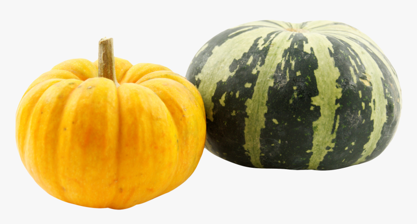 Pumpkin Hd Images Png, Transparent Png