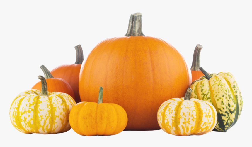 Pumpkin Png - Orange And White Mini Pumpkins, Transparent Png
