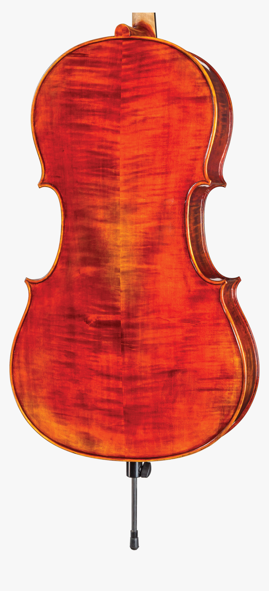 Viola, HD Png Download