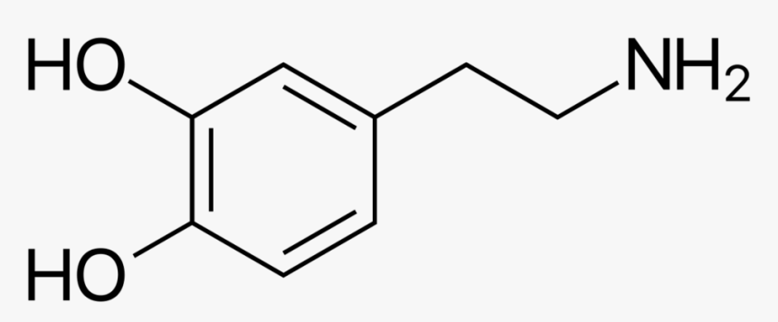 Img 7881 - Dopamine Skeletal Structure, HD Png Download