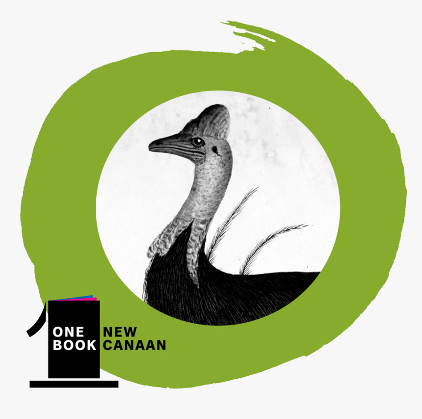 Wood Duck, HD Png Download