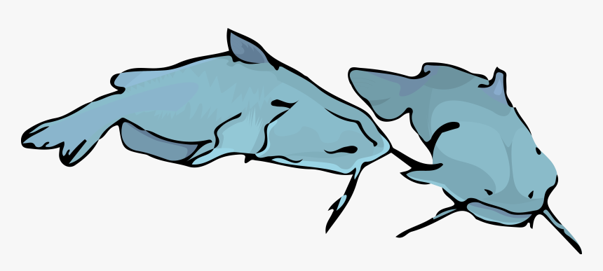 Transparent Fish Silhouette Clipart - Clip Art, HD Png Download