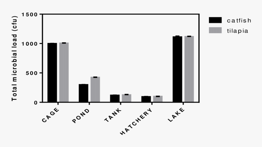 Total Microbial Load On Surfaces Of Tilapia And Catfish - Skyline, HD Png Download