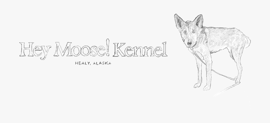 Cat-header, HD Png Download