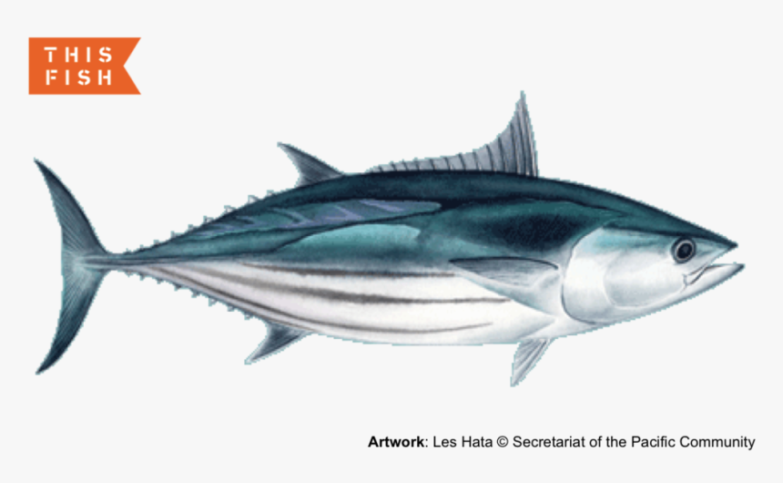 Aku, HD Png Download