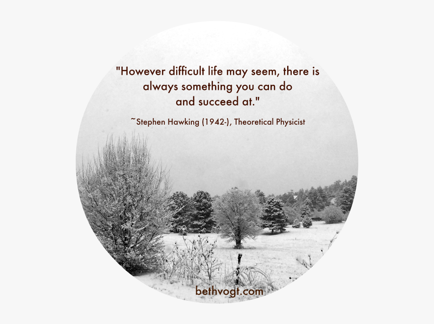 Oak, HD Png Download