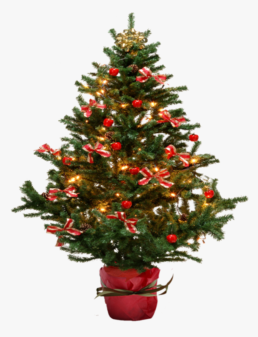 Christmas Tree With Bows Png Image - Christmas Tree On Transparent Background, Png Download